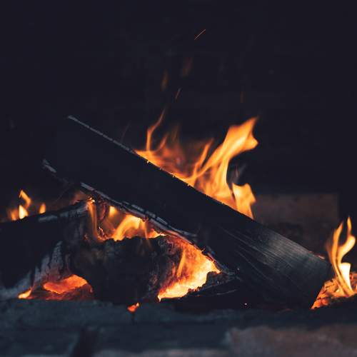 Photo #13571143