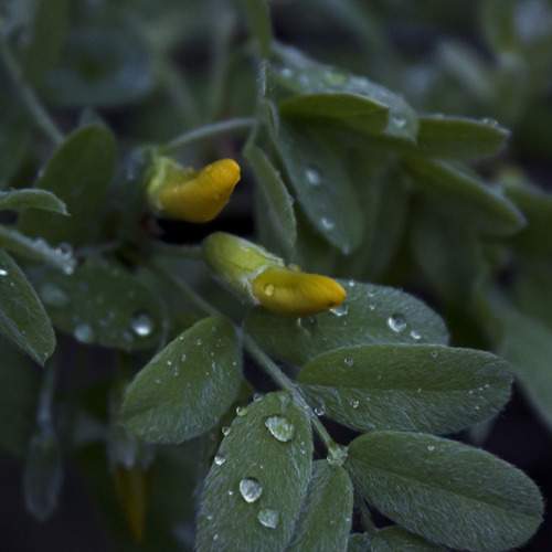 Photo #13571248