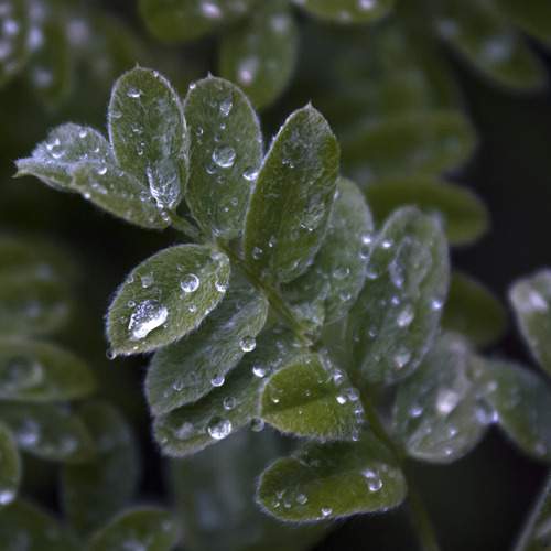 Photo #13571249