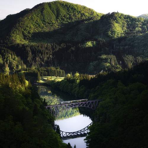 Photo #13571252