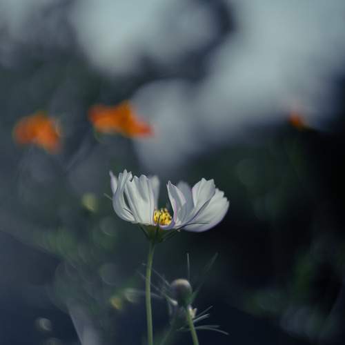 Photo #13571467