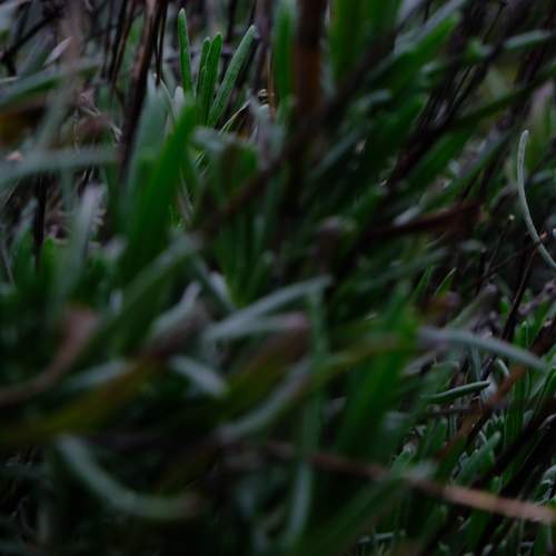 Photo #13571591