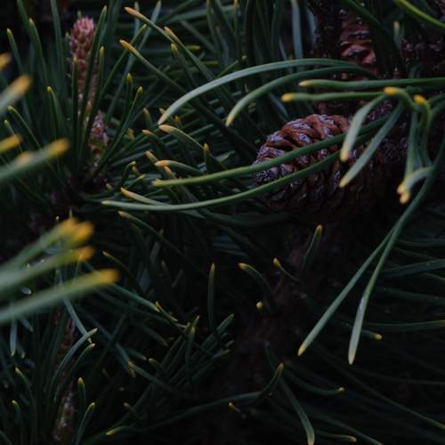 Photo #13571618