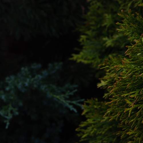 Photo #13571621