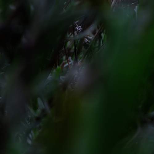 Photo #13571627