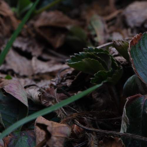 Photo #13571632