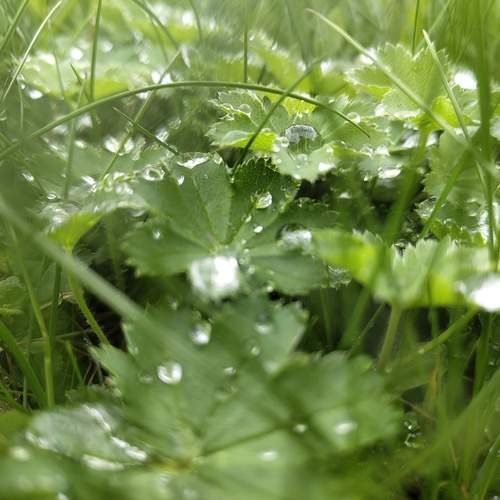 Photo #13571640
