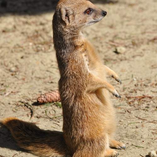 Photo #13571700