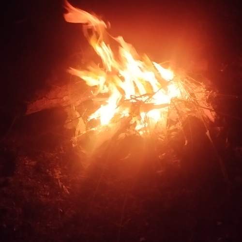 Photo #13571915