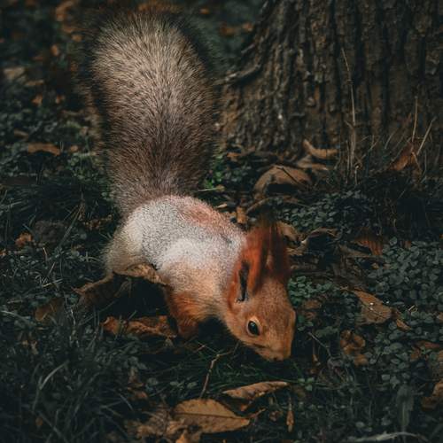 Photo #13571956