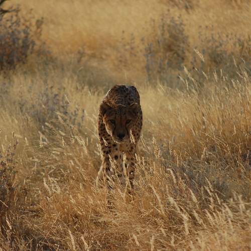 Photo #13572210