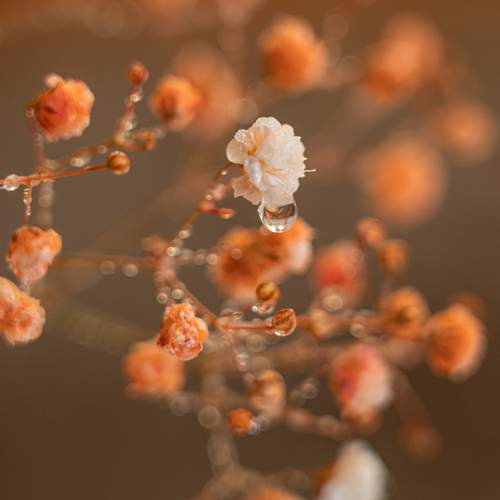 Photo #13572214