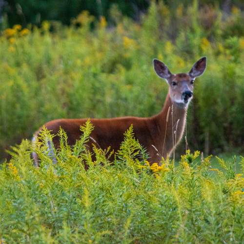 Photo #13572290