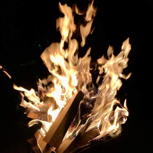 Photo #13572326