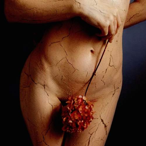 Photo #13572342
