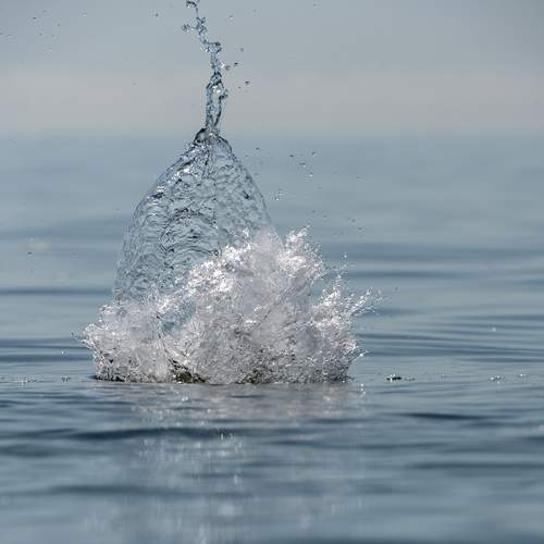 Photo #13572476