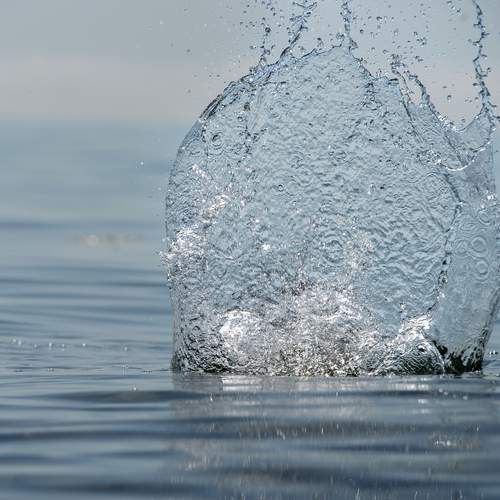 Photo #13572480