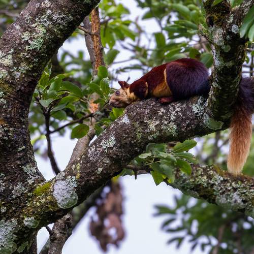 Photo #13572521