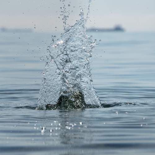 Photo #13572528