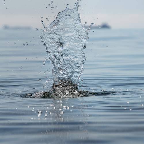 Photo #13572529