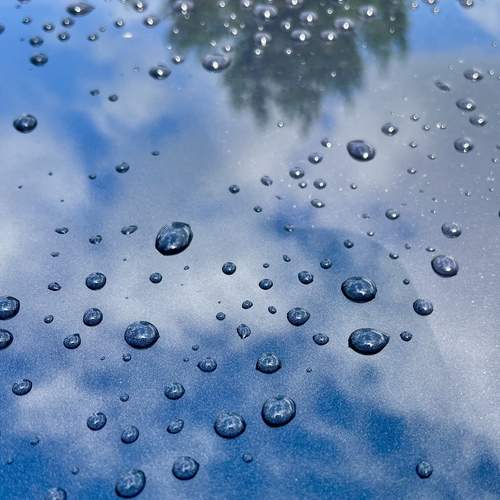 Photo #13573249