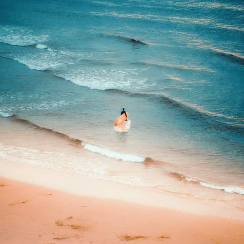 Photo #13573270