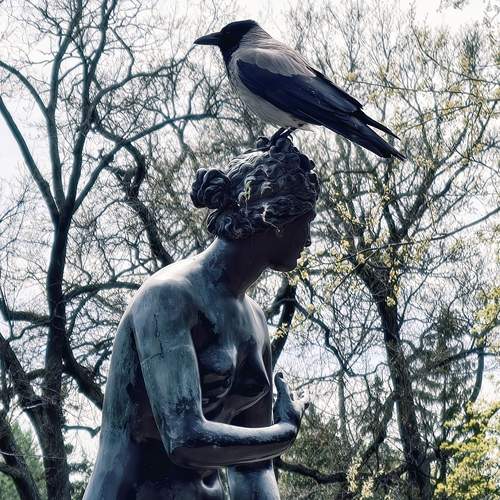 Photo #13573343