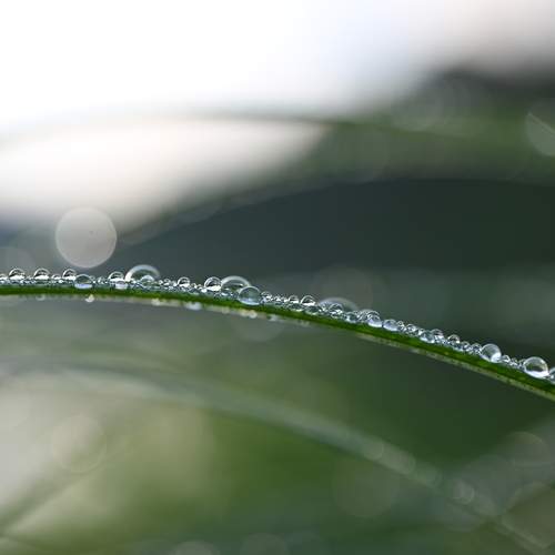 Photo #13573372