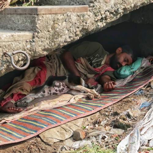 Under the Same Roof — Humanity Survives