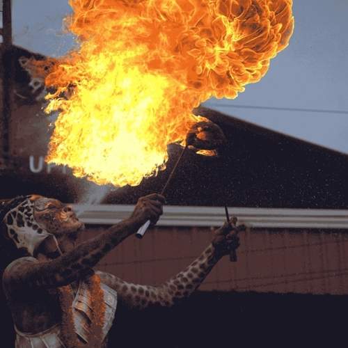 Huli vesha (Tiger dance)