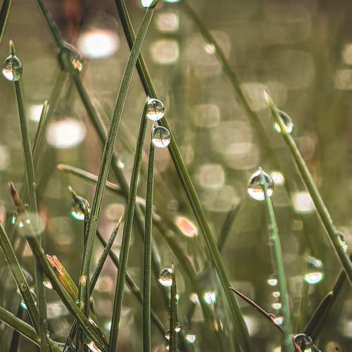 Photo #13573813