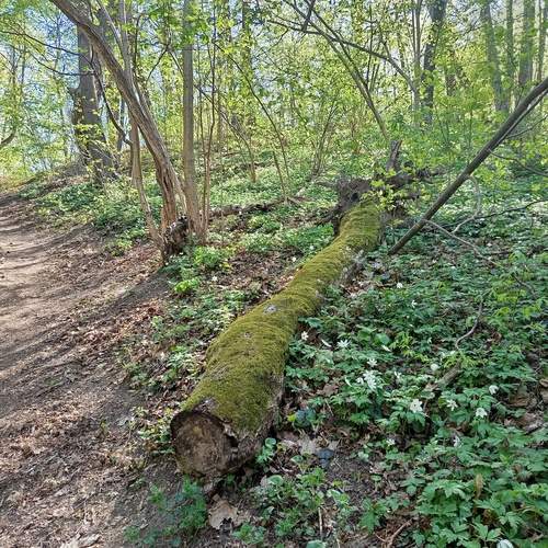 Photo #13573842