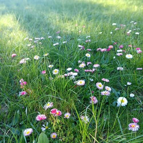 Photo #13573844