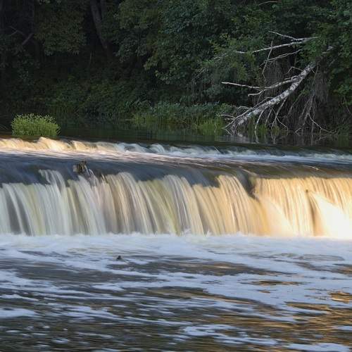 Photo #13573896