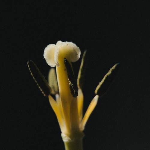 Photo #13573898