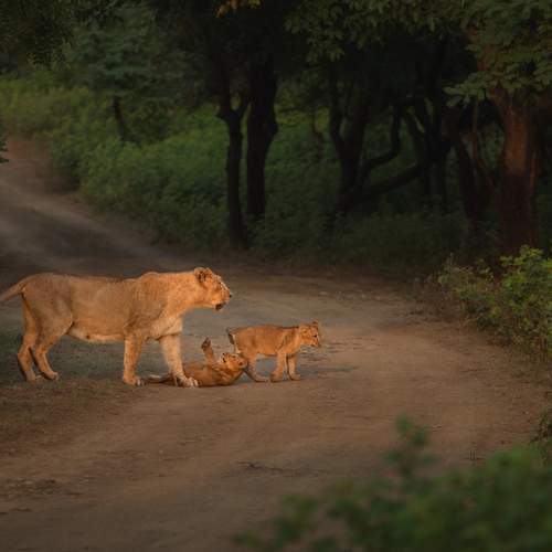 Photo #13573982