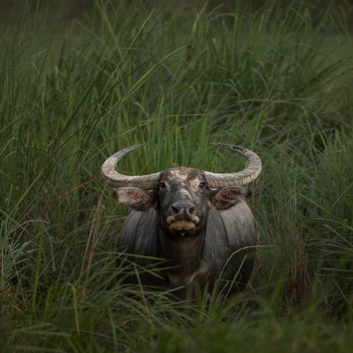 Photo #13573983