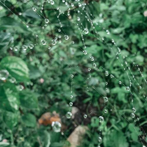Photo #13574206