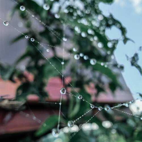 Photo #13574208