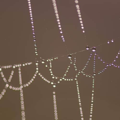 Photo #13574299