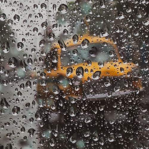 Photo #13574302