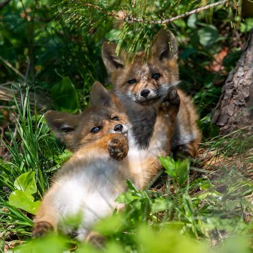 Photo #13574349