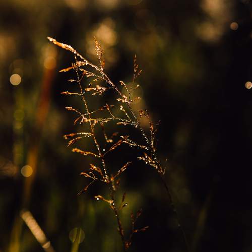 Photo #13574361