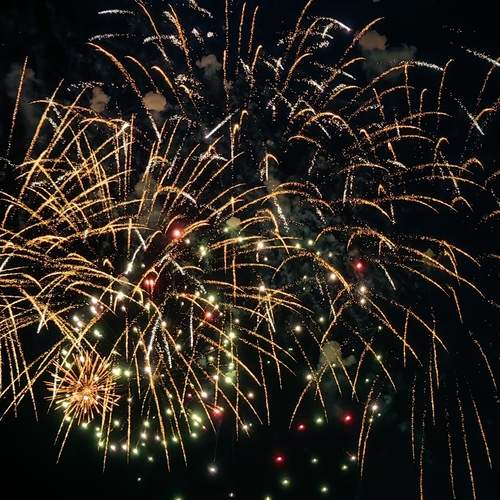 Photo #13574425