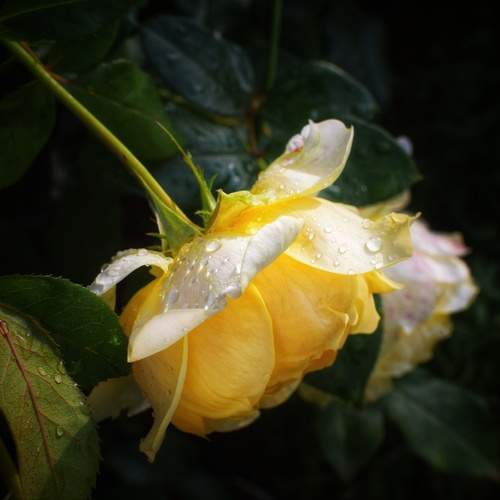 Photo #13574801