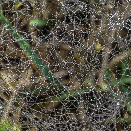 Photo #13574837