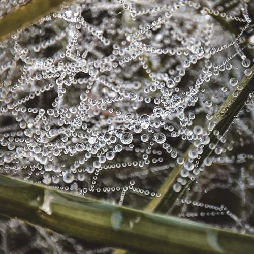 Photo #13574838