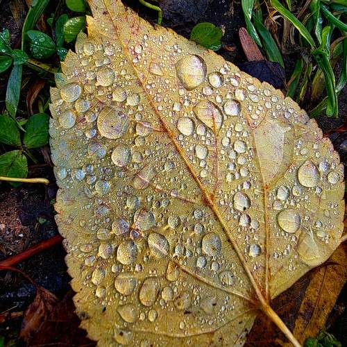 Photo #13574961