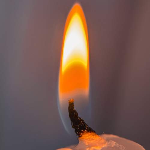 Photo #13575253