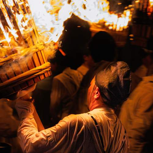 Photo #13575259